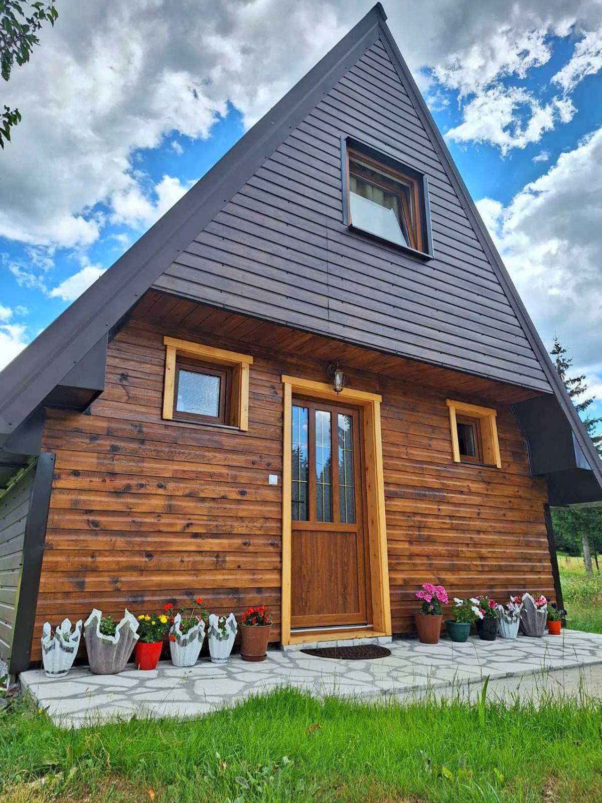 House Bojana Villa Zabljak  Exterior photo